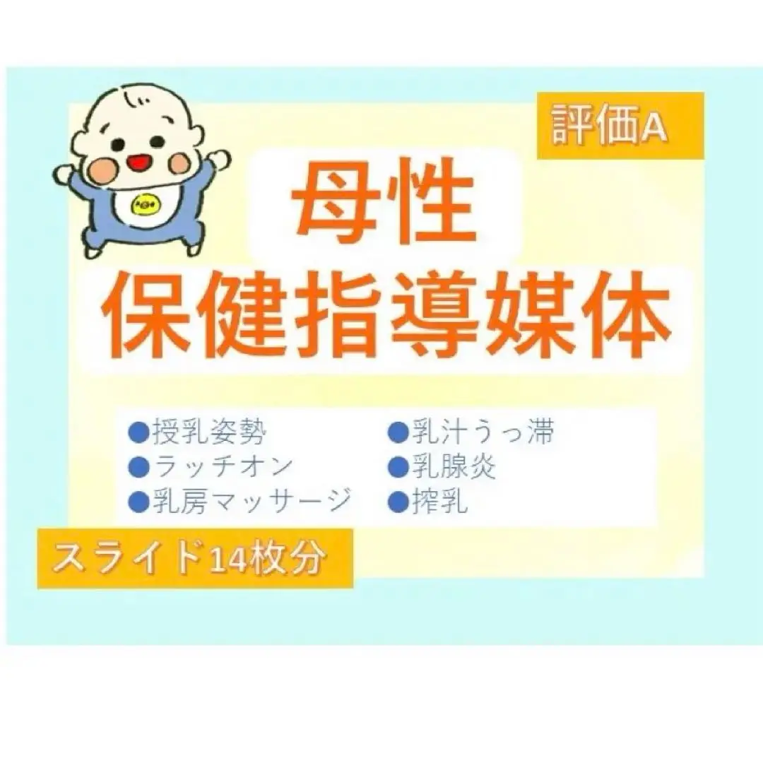 ❤️助産❤️［全部セット］保健指導パンフレット（媒体）&指導計画書　USBデータ Amazon.co.jp: 助産［全部セット］保健指導パンフレット（媒体