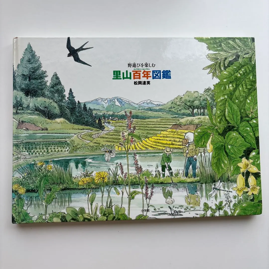 【匿名発送】里山百年図鑑 野遊びを楽しむ 松岡 達英 匿名発送】里山百年図鑑 野遊びを楽しむ 松岡 達英 - メルカリ