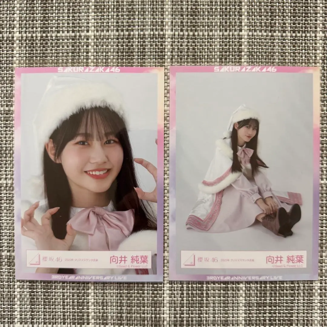 Thumbnail of Junyo Mukai Sakurazaka46 Official Photo 2023 Christmas Santa Outfit Yori (Close-up) Sitting