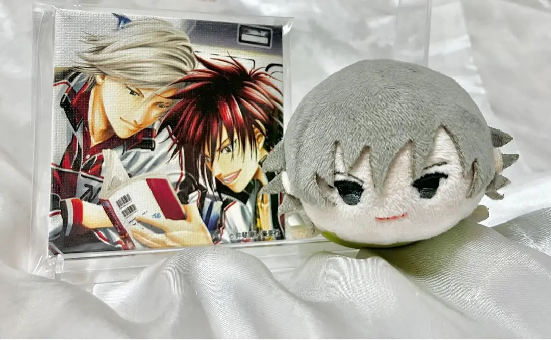 白石蔵ノ介 もちマス まとめ売り 白石蔵ノ介 ぬいぐるみ まとめ売り - メルカリ