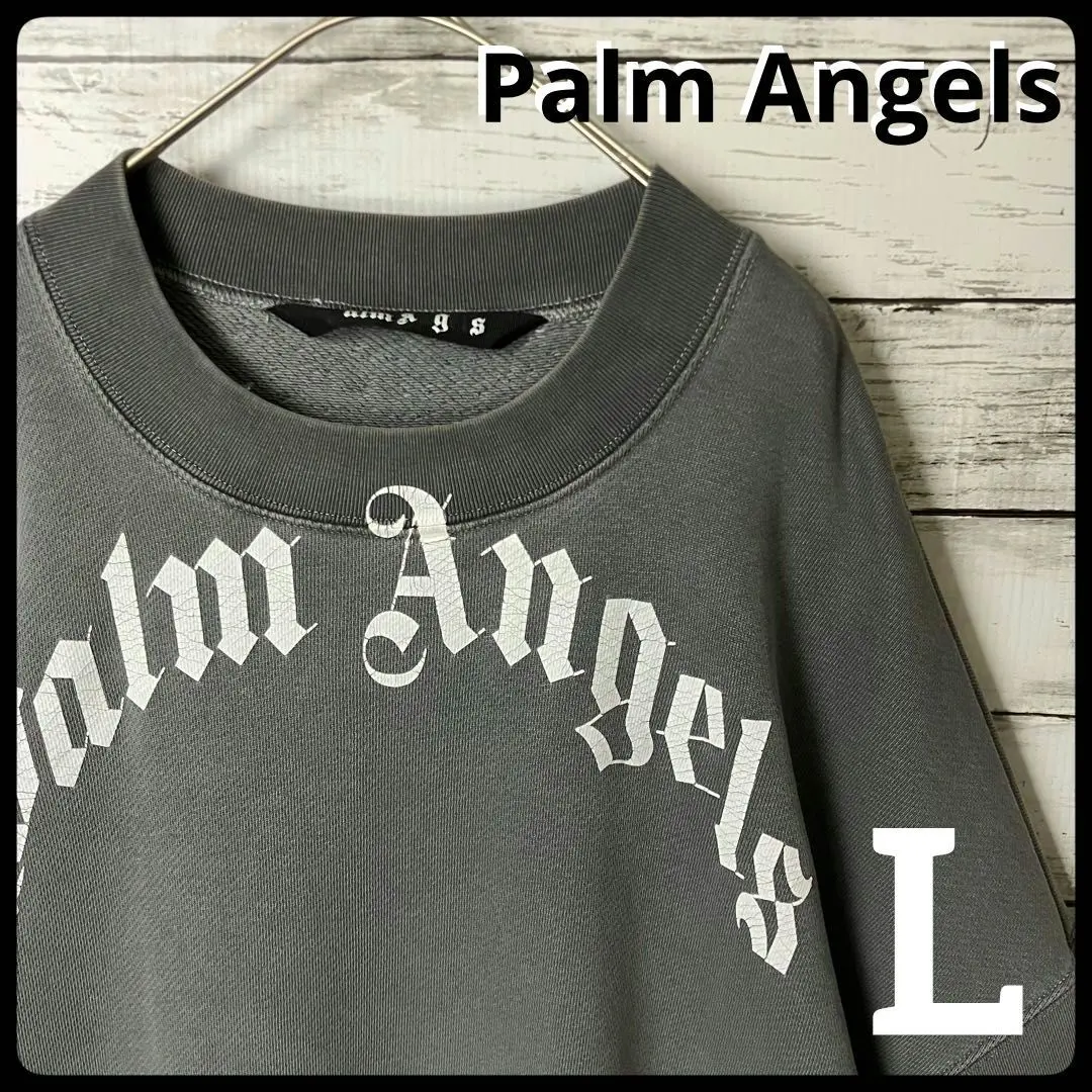 鳴*智様 PALM ANGELES 胸ロゴ スウェット トレーナー サイズL 2025年最新】Palm Angels メンズ トレーナー・スウェットの人気