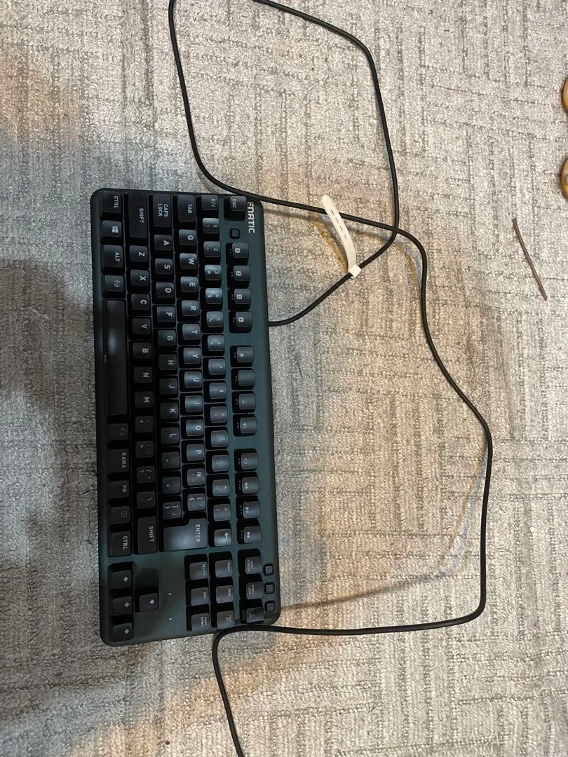 2025年最新】fnatic カードの人気アイテム - メルカリ
