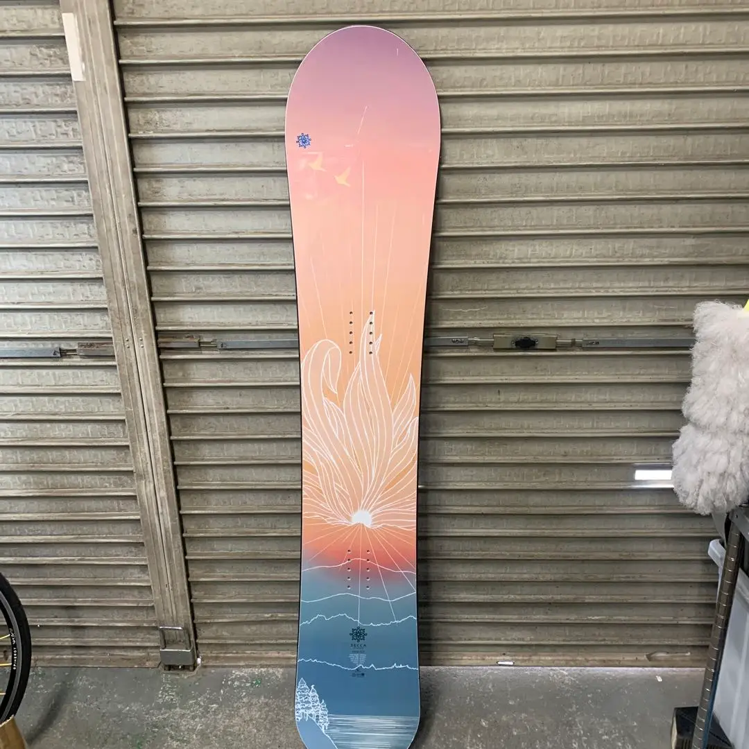 楽天市場】25-26 SECCA ACCENTOR セッカ アクセンター