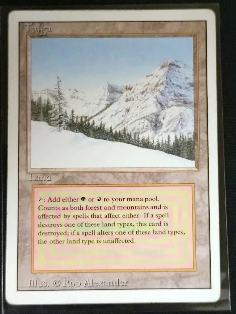 m41916922060_1.jpg?1747569995