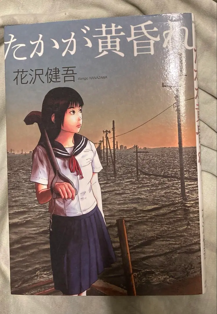 アイアムアヒーロー　初版帯付き全巻セット　+たかが黄昏れ　1巻　初版帯付き アイアムアヒーロー 全巻セット（1〜22巻まとめ）帯付き 漫画
