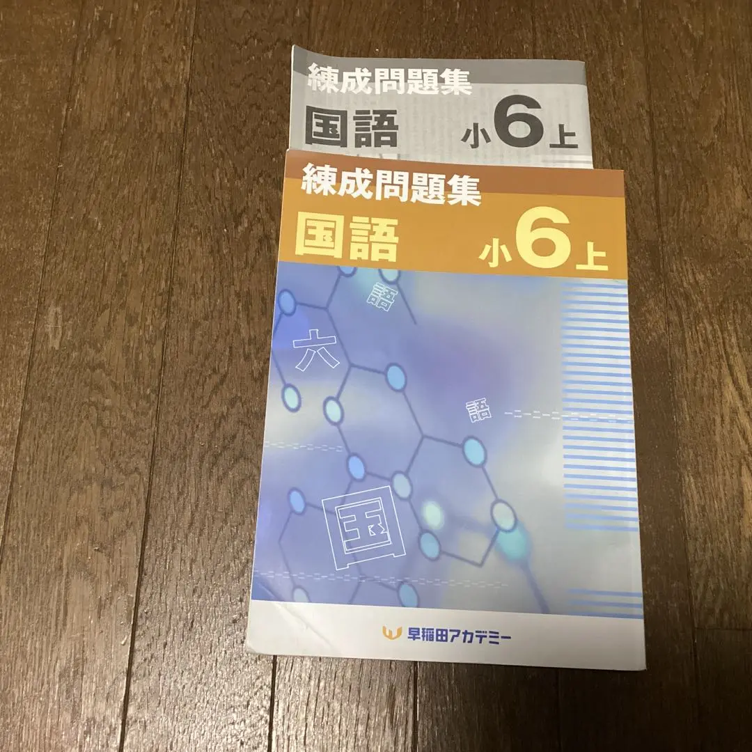 2025年最新】錬成問題集 小6の人気アイテム - メルカリ