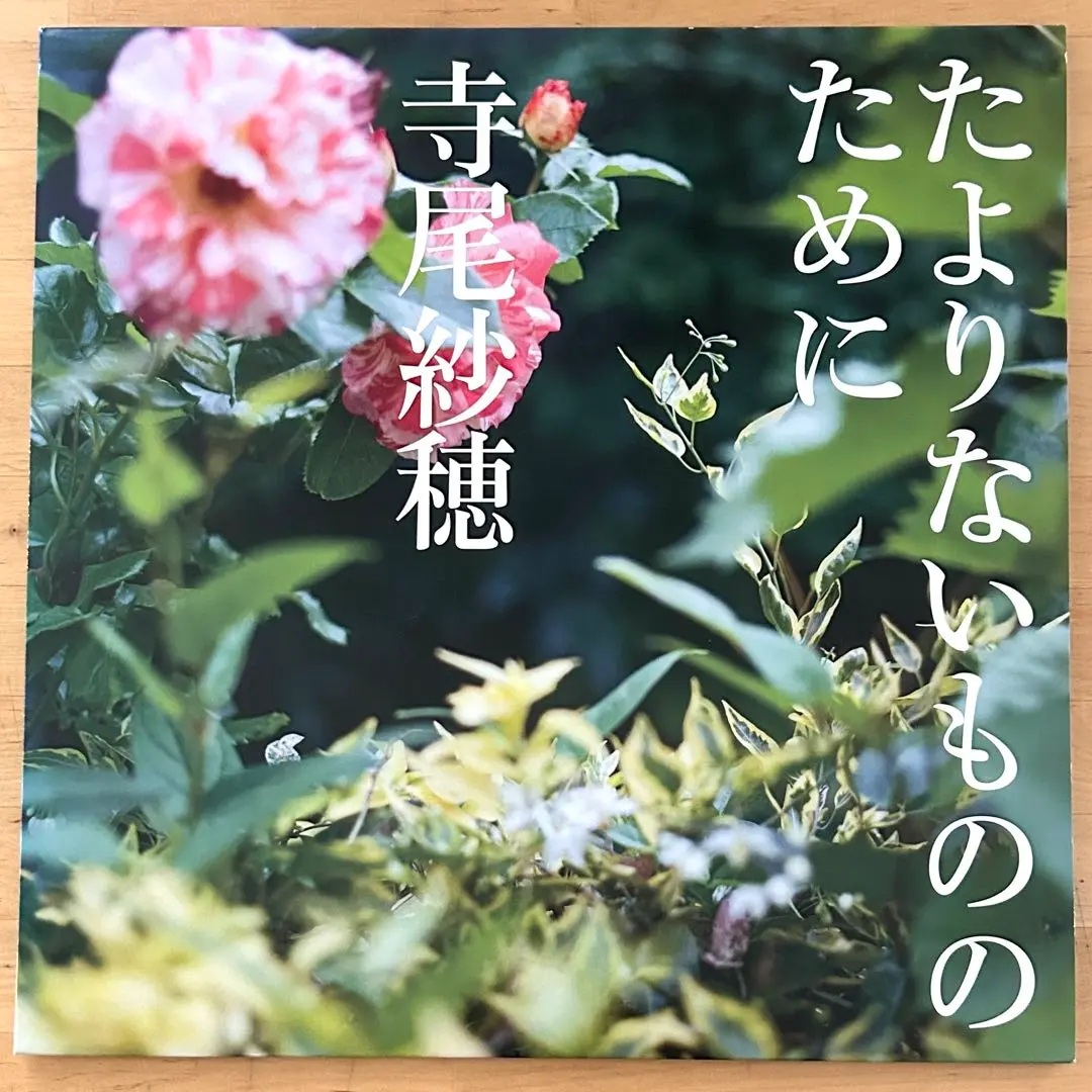 寺尾紗穂 - しゅー・しゃいん (LP) | LIVING STEREO