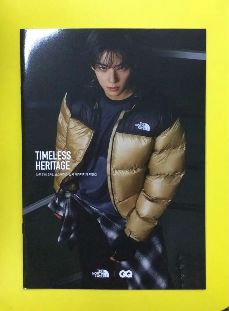 ASTRO - 【 チャ・ウヌ 】　韓国　限定　THE NORTH FACE　パネル　★非売品★ チャ・ウヌ 】 韓国 限定 THE NORTH FACE パネル ☆非売品