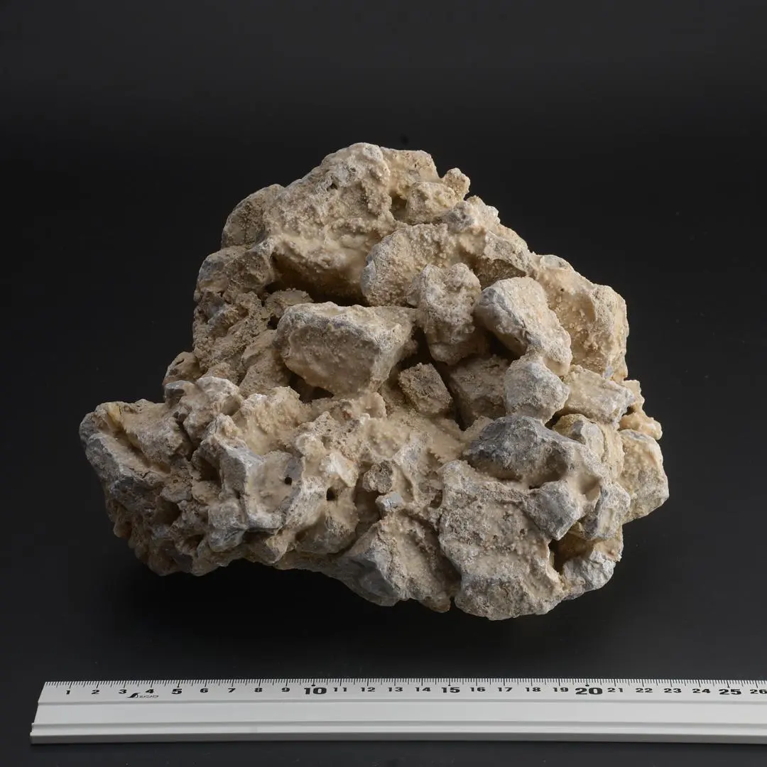 さざれ石（石灰質角礫岩 W24.2cm/D23.5cm/H12.8cm）094 2025年最新】石灰質角礫岩の人気アイテム - メルカリ