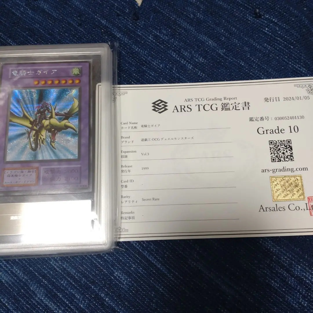 ARS鑑定10+ 竜騎士ガイア PSA10鑑定済〕竜騎士ガイア【プリズマティックシークレット