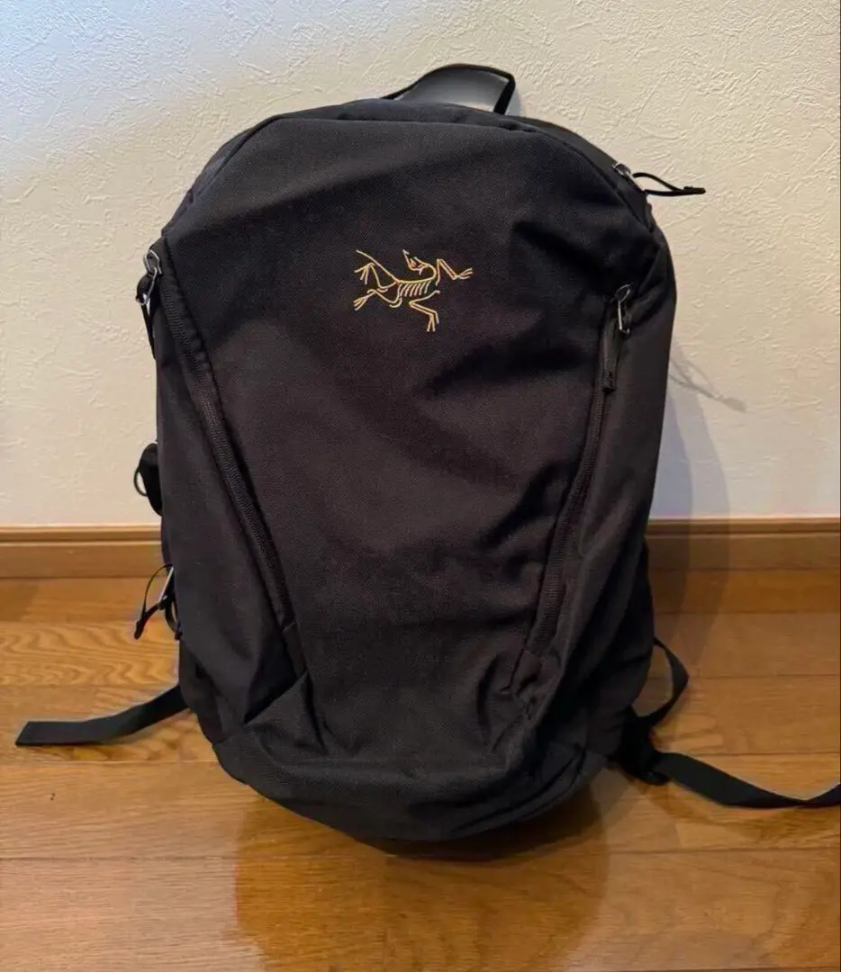 【確実正規品タグ付・値下げ⭕️】Arc'teryx Mantis 16 マンティス 2025年最新】mantis16の人気アイテム - メルカリ