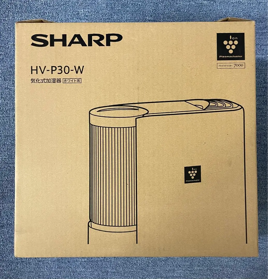 2025年最新】HV-P30の人気アイテム - メルカリ