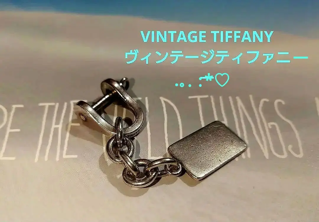 2025年最新】tifanny ダブルシャックルの人気アイテム - メルカリ