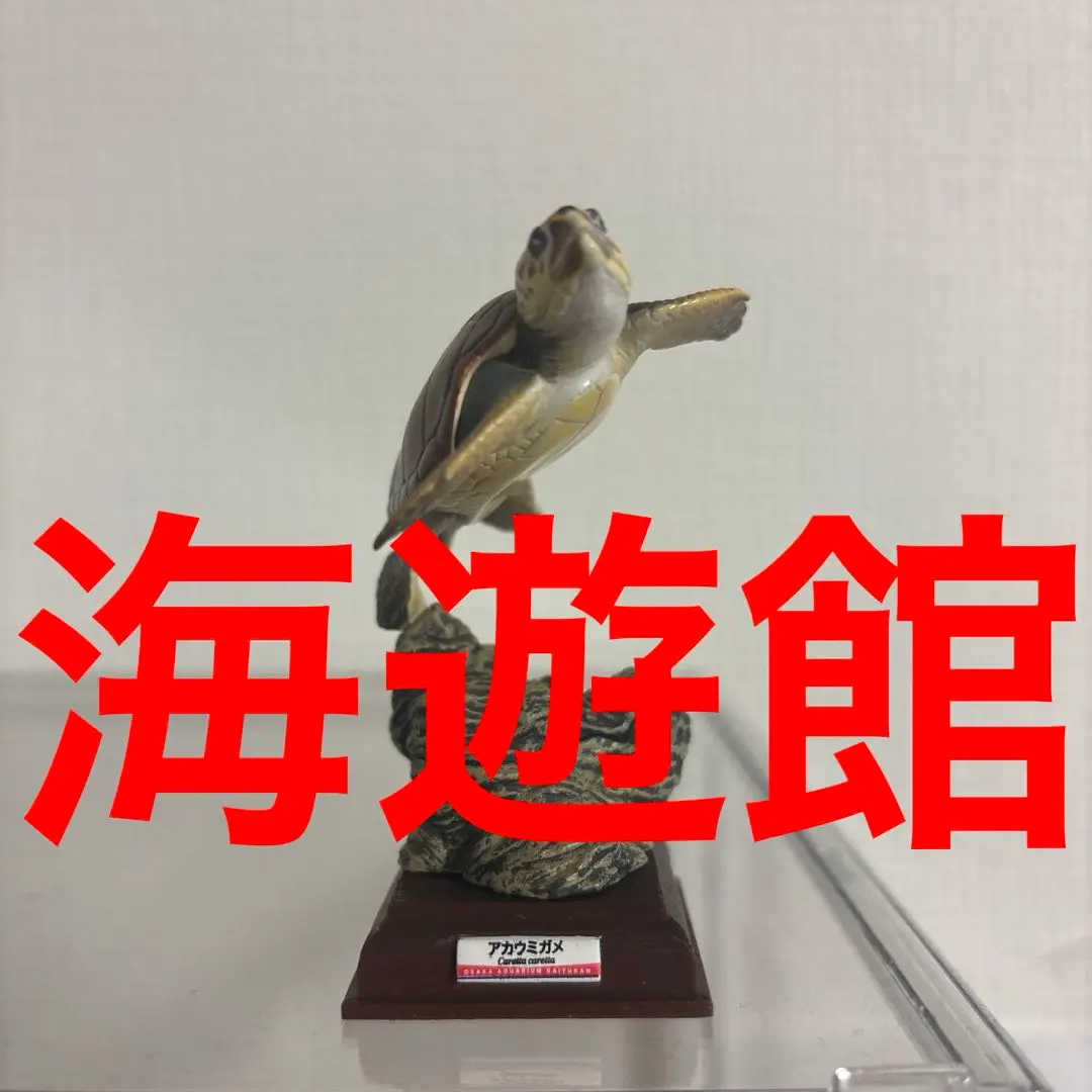 海遊館ミュージアム NATURE TECHNI COLOUR ☆ カマイルカ ①