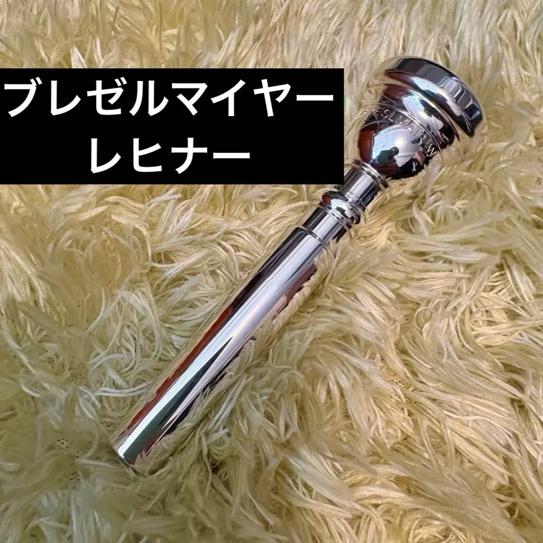 Breslmair ブレズルマイヤー バックボア ST 2025年最新】breslmairの人気アイテム - メルカリ