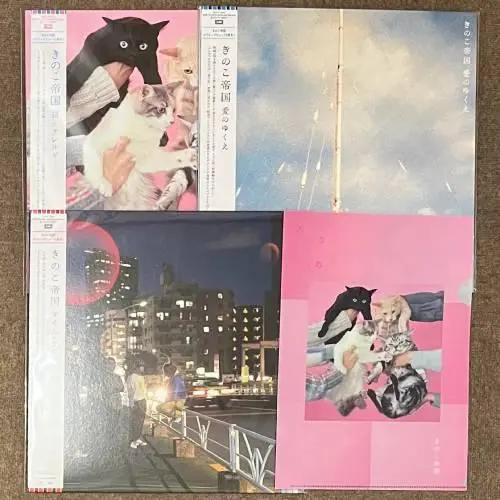 中古レコード　きのこ帝国　2枚セット 2025年最新】きのこ帝国 レコードの人気アイテム - メルカリ