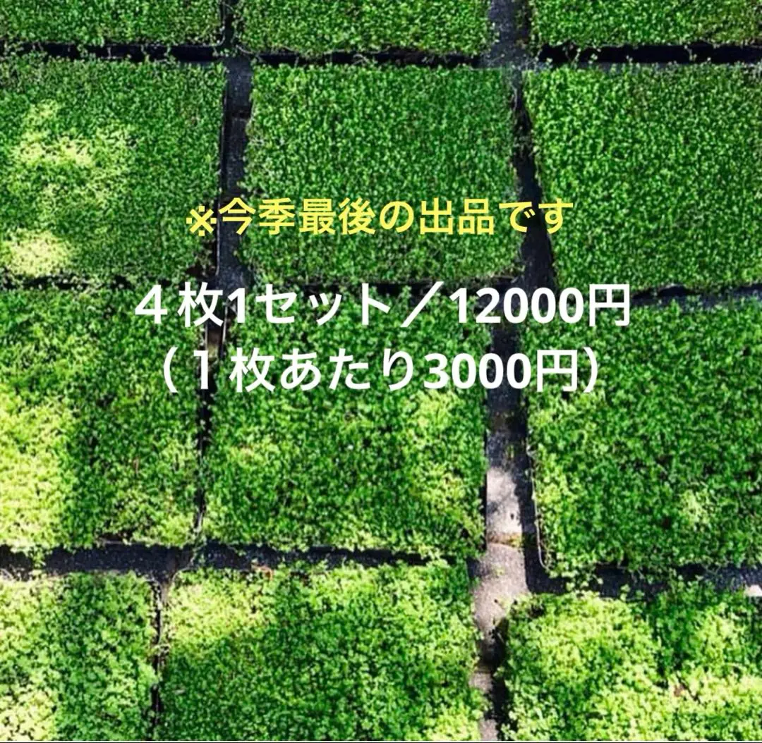 2025年最新】ベビーティアーズシートの人気アイテム - メルカリ