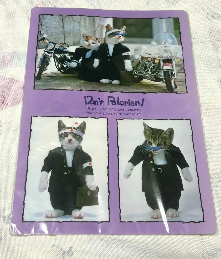 なめネコ　下敷き　10枚セット Amazon.co.jp: なめ猫 下敷き 約18×25cm : 文房具・オフィス用品
