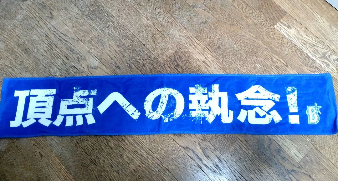 對頂點的執念 100%棉 入場特典 橫濱海灣之星 應援毛巾 的縮圖