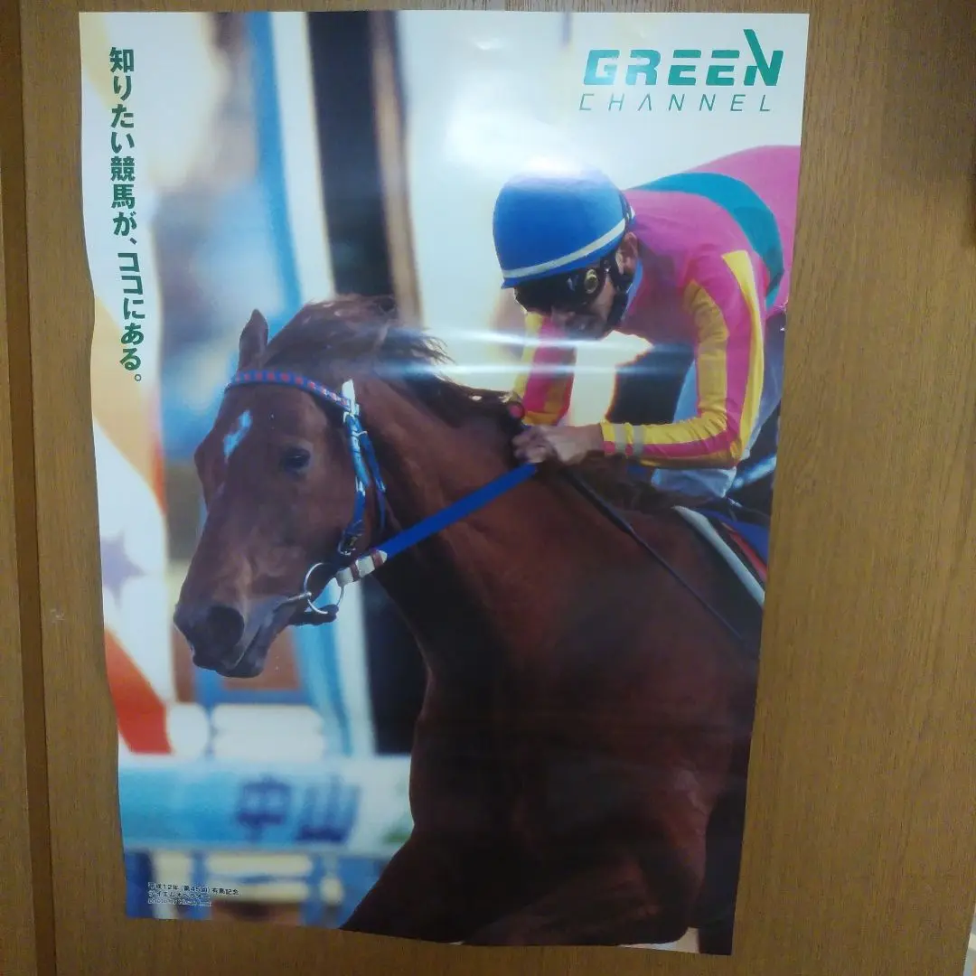 JRA　非売品B1ポスター　ゴールドシップ　2013年有馬記念 Amazon.co.jp: JRA 非売品B1ポスター ゴールドシップ 2013年有馬