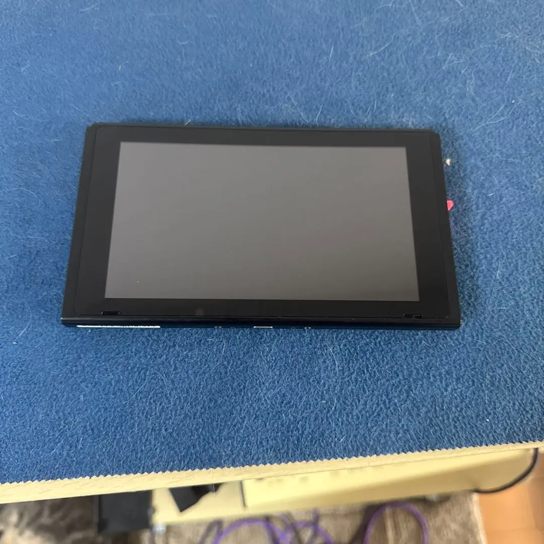 ニンテンドーSwitch液晶のみ CFW未対策機　シグ付き 未対策機 ニンテンドースイッチ 本体一式 初期型＋おまけ多数