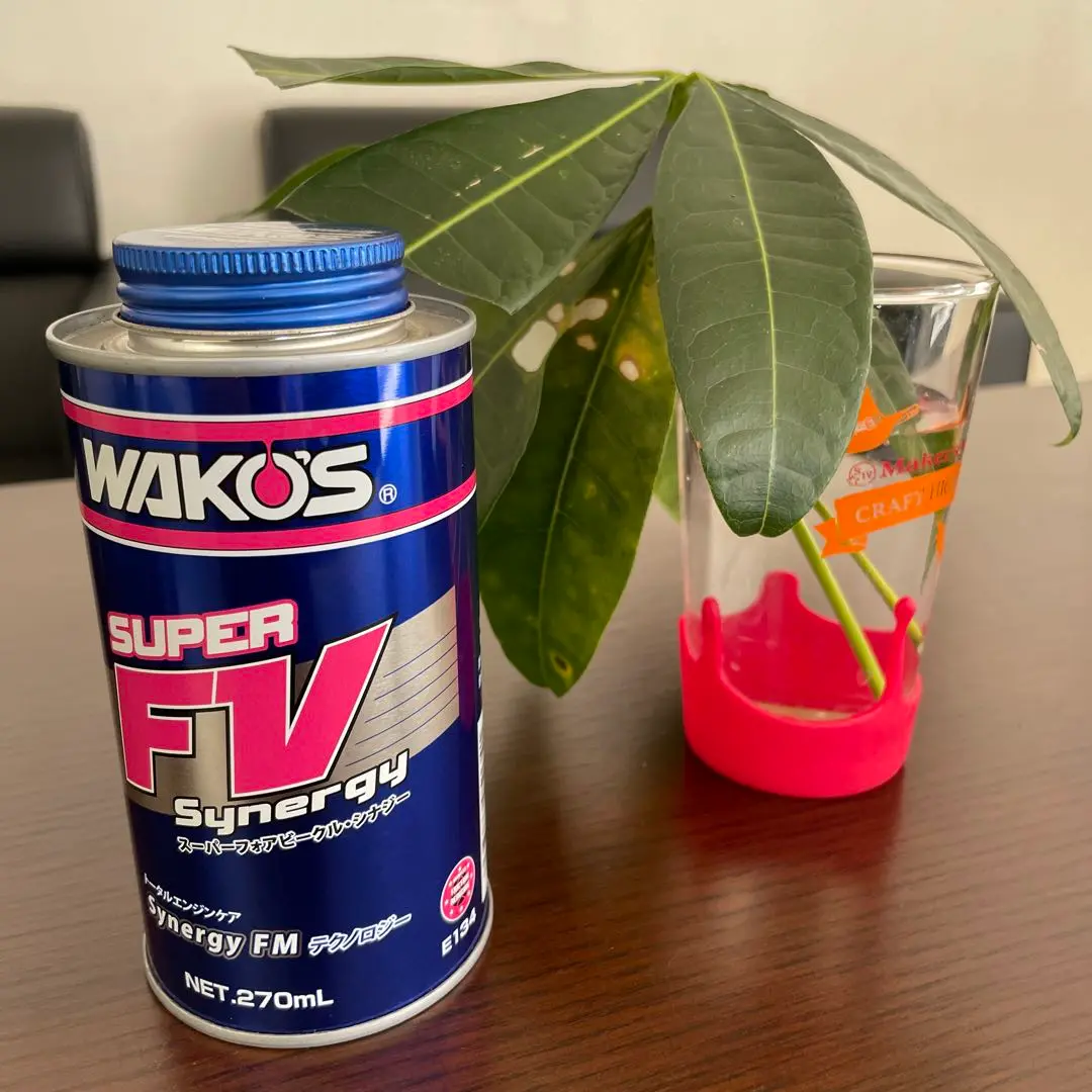 2025年最新】WAKO`S ワコーズ S-FV・S スーパーフォアビークル