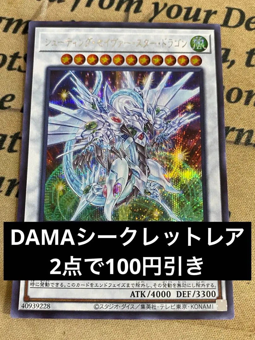 中古品o←m604-3 セイヴァー・スター・ドラゴン　ホロ＋他22枚 中古品o←m604-3 セイヴァー・スター・ドラゴン ホロ＋他22枚
