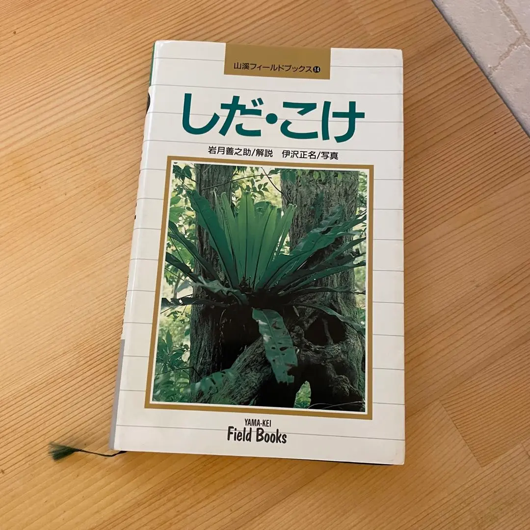 樹木―秋冬編 (山渓フィールドブックス) 永田 芳男 Amazon.co.jp: 樹木―秋冬編 (山渓フィールドブックス) 永田 芳男