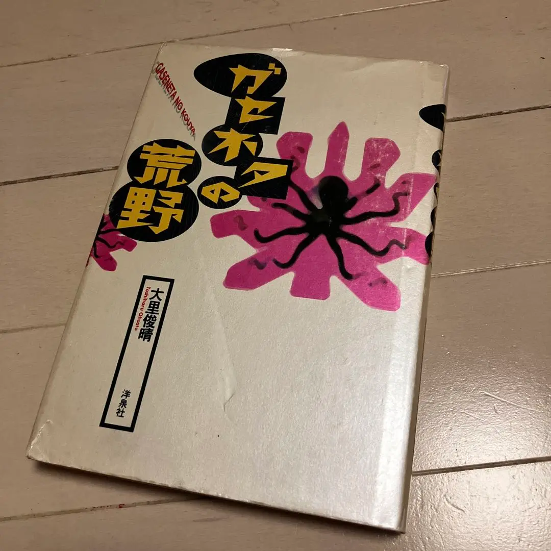 ガセネタの荒野　大里俊晴 ガセネタの荒野/大里俊晴｜その他｜bookunion｜ディスクユニオン