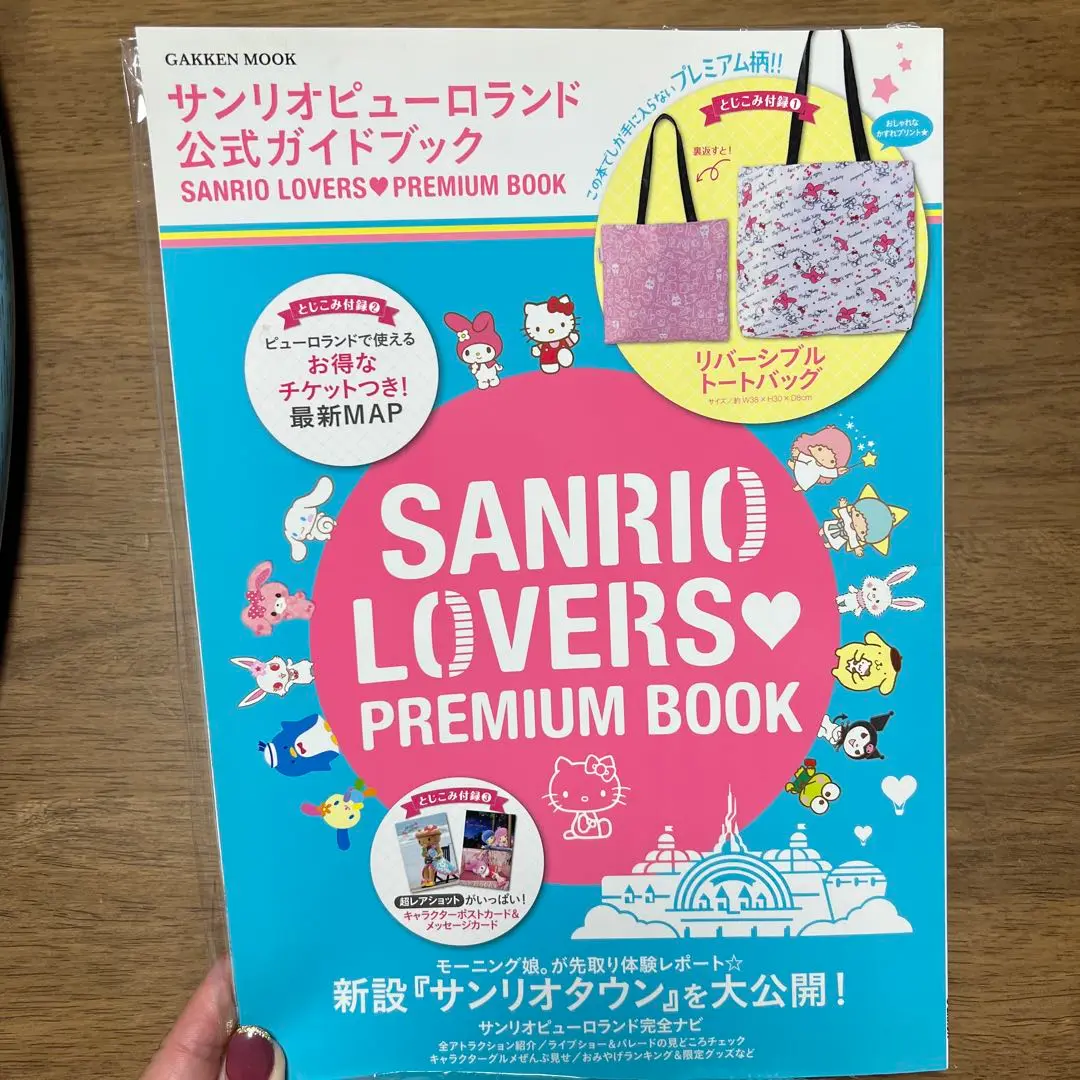 レア 平成レトロ サンリオ サンリオピューロランドガイドブック