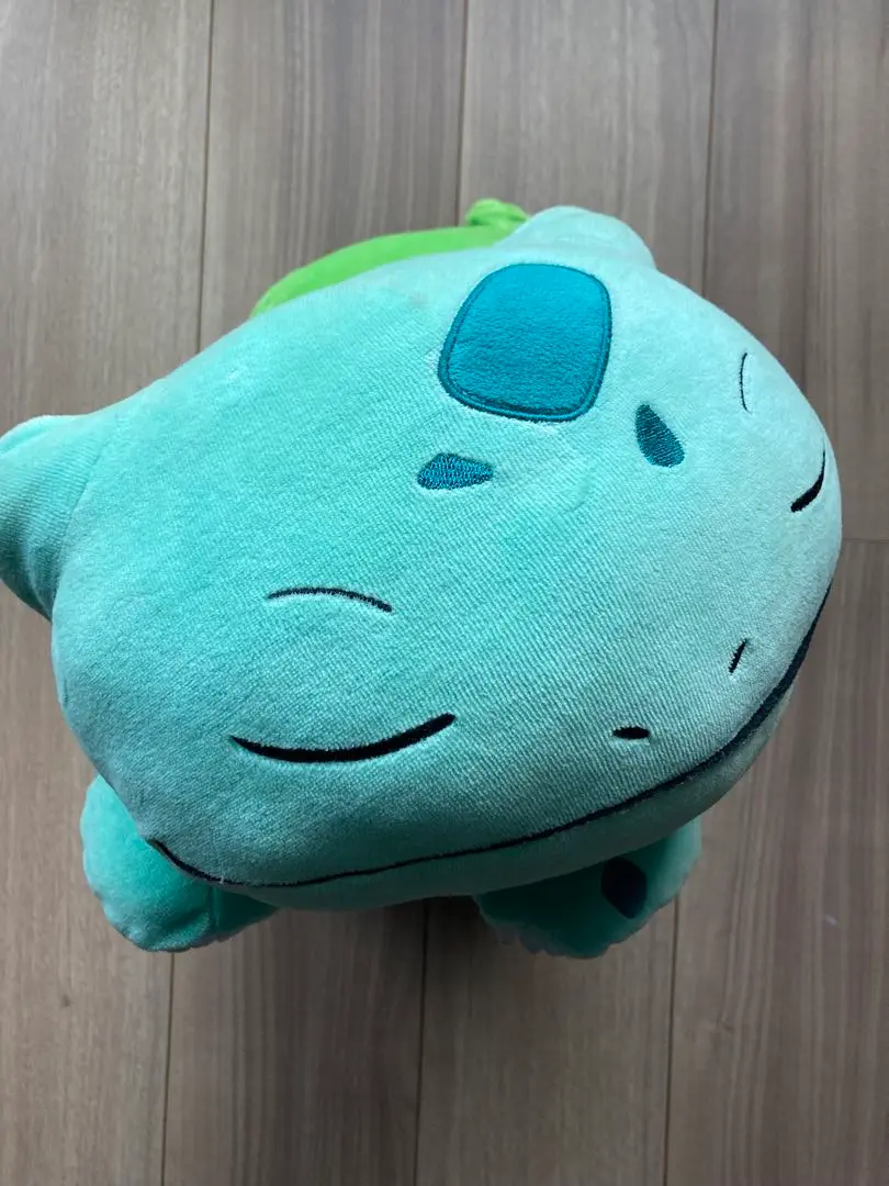 ポケモン - ポケモン タグ付き すやすやフシギダネ BIGサイズ すやすやフシギダネ