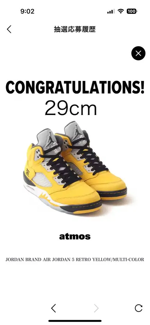 エアジョーダン5 レトロ　29センチ 2025年最新】jordan5 29cmの人気アイテム - メルカリ