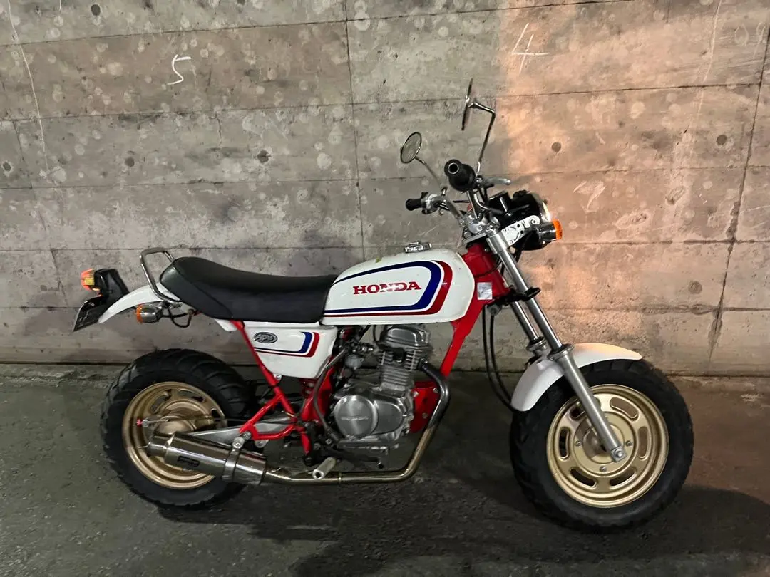 乱鬼達 | 今日のエイプはこちらです‼️ エイプ50です！ CBX