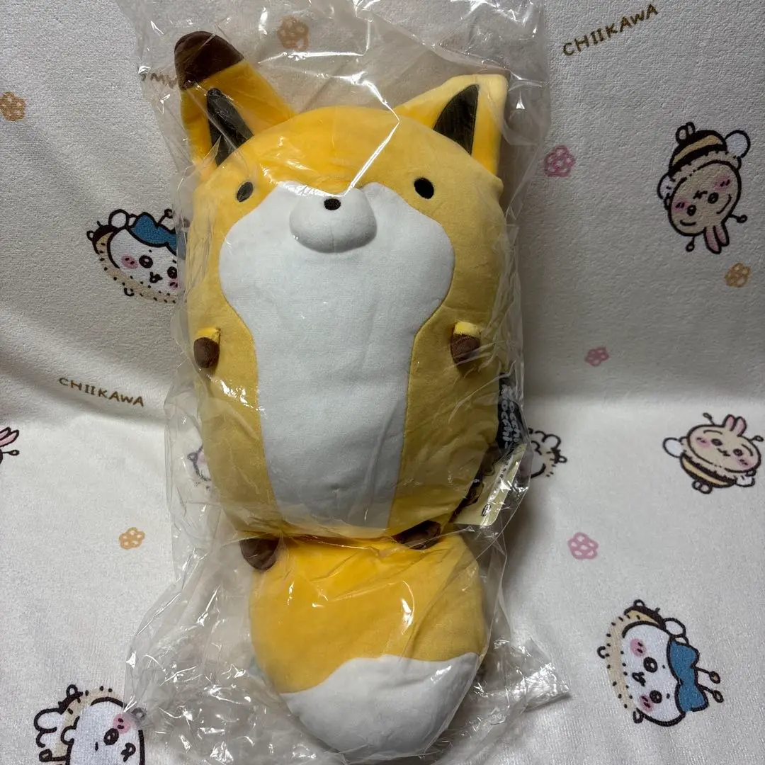 トピックス】ぬいぐるみシリーズ「もっちぃもっちぃ」に『タヌキ