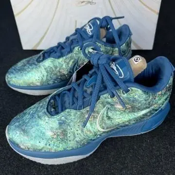 【新品 未使用】NIKE REBLON 21 XXI EP アコヤ 26cm Nike LeBron 21 Abalone for Sale - Authenticity Guaranteed - eBay