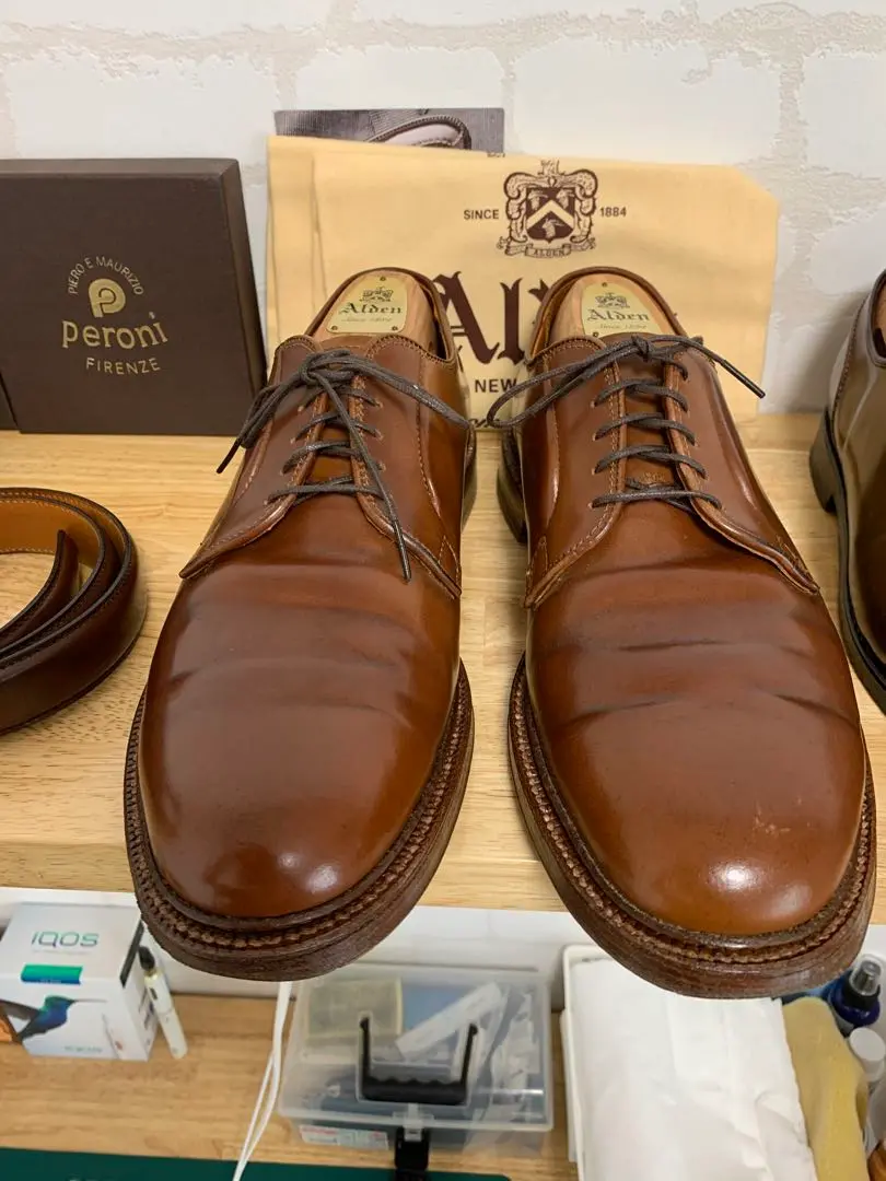2025年最新】ALDEN 9905の人気アイテム - メルカリ