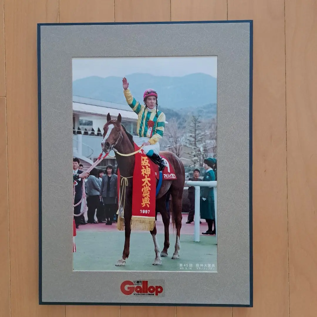 アグネスゴールド 週刊Gallop パネル 2025年最新】パネル gallopの人気アイテム - メルカリ