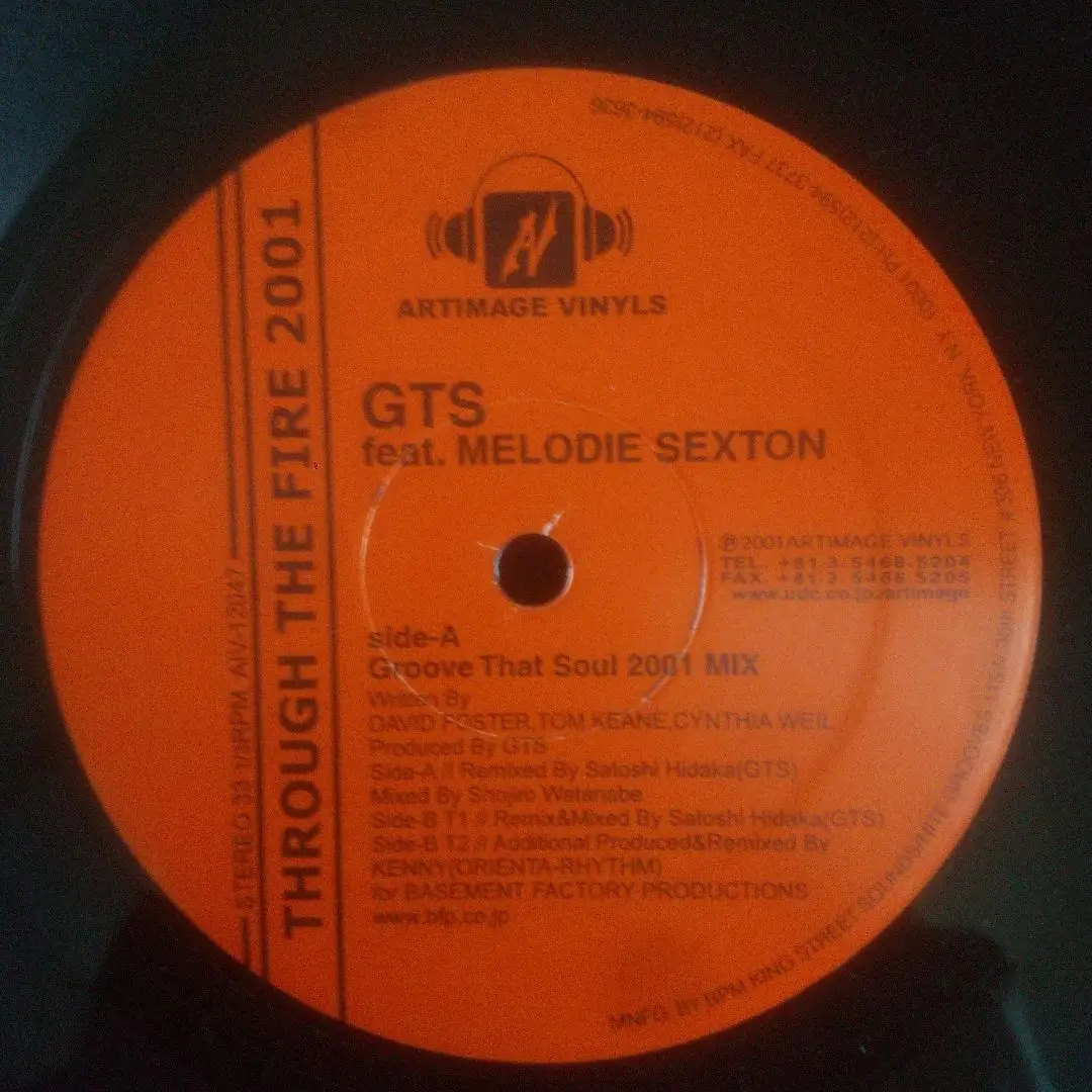 GTS Melodie Sexton　Through The Fire　レコード GTS feat. Melodie Sexton - Through The Fire 2001 (12
