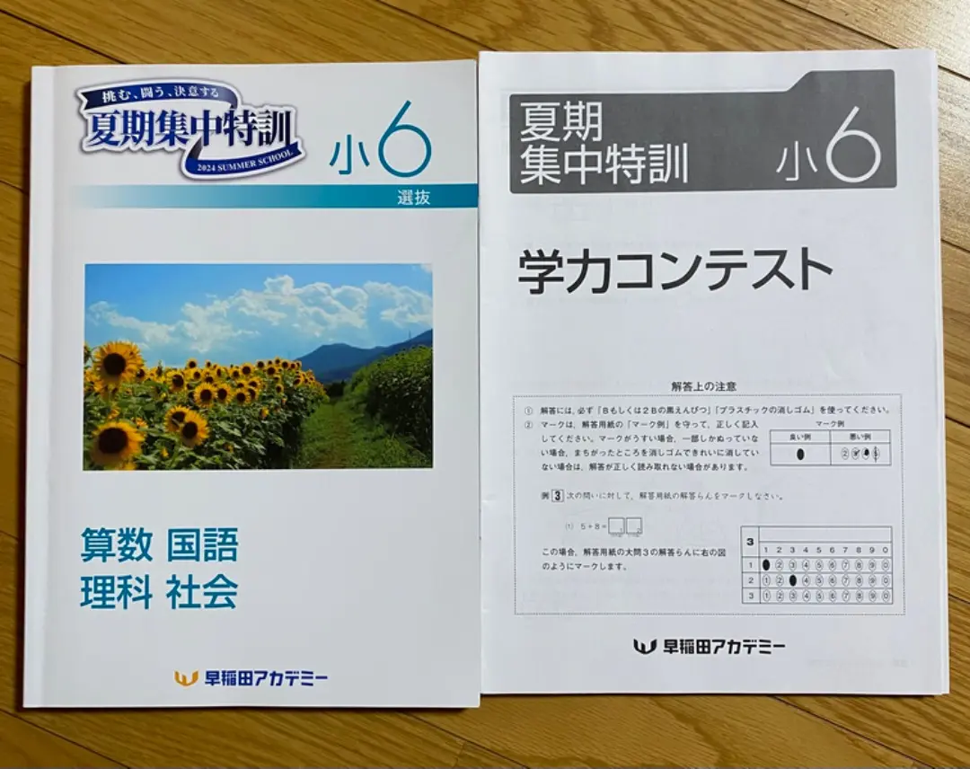 早稲田アカデミー　夏期集中特訓　桜蔭の国算理社　2022年度 2025年最新】NN桜蔭の人気アイテム - メルカリ