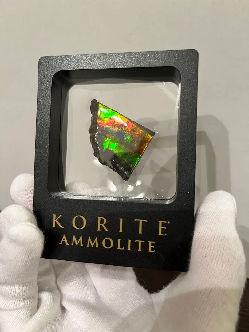 KORITE アンモライト 腕時計 （紳士用） | AMMMOLITE MUSIUM