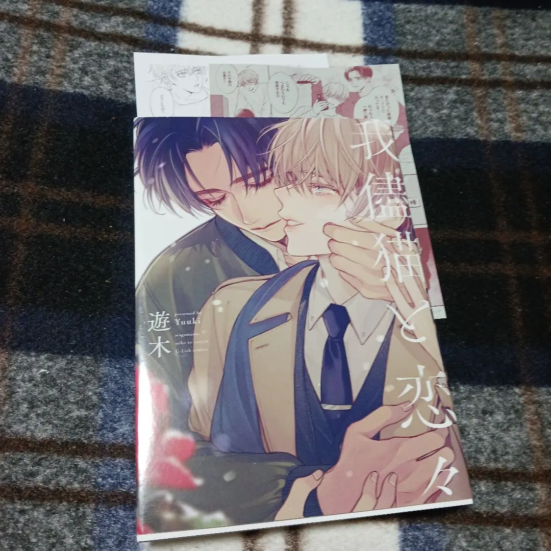 Thumbnail of My Wayward Cat and Love, Love, Love - Yuuki