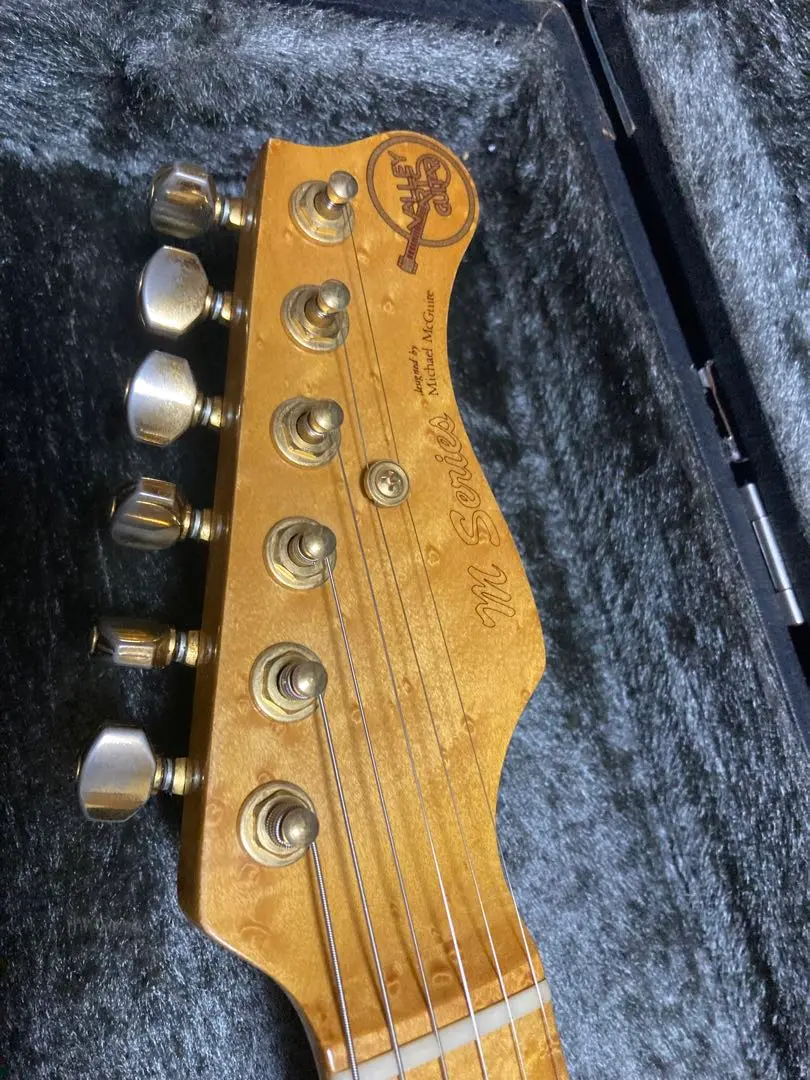 Valley Arts M Series Custom Pro <バレーアーツ>｜平野楽器
