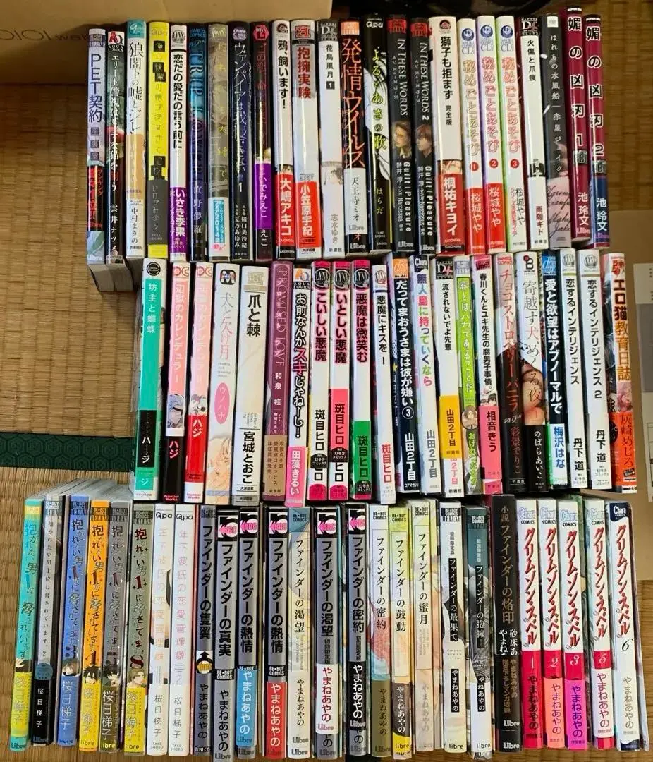 2025年最新】小説 ファインダーの烙印の人気アイテム - メルカリ