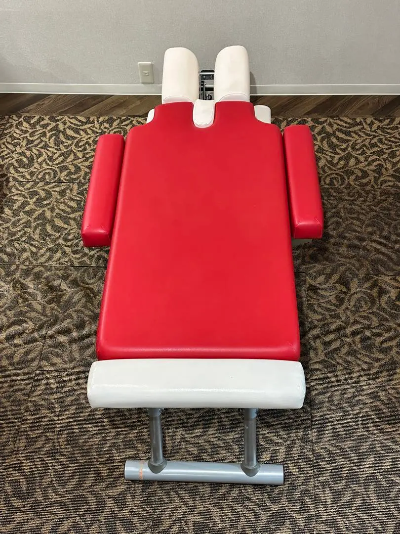 カイロプラクティック ESAKI/江崎器械製　Dorsal Block 2025年最新】江崎器械の人気アイテム - メルカリ