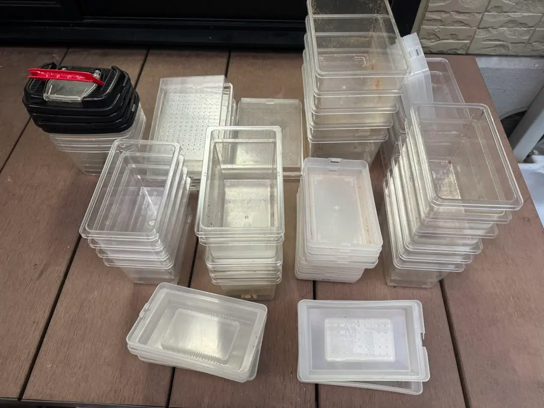 2025年最新】デジケース 飼育の人気アイテム - メルカリ