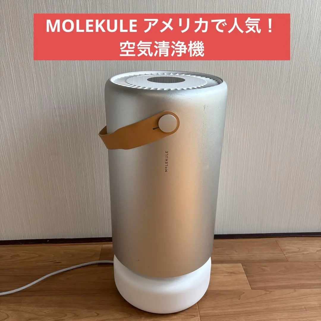 モレキュル Air Mini+