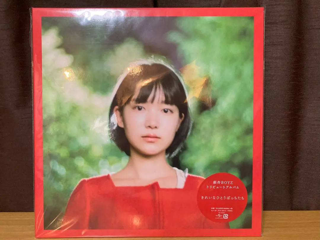 銀杏BOYZ きれいなひとりぼっちたち　レコード きれいなひとりぼっちたち (銀杏BOYZトリビュート/アナログ盤