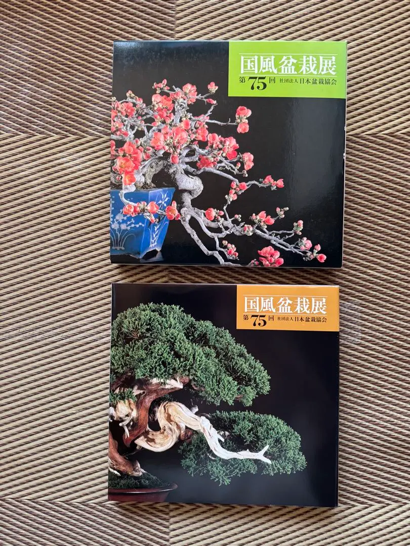 2025年最新】国風盆栽展の人気アイテム - メルカリ