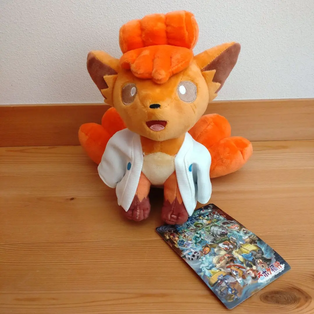 ポケモン ロコン 百ポケ夜行 ぬいぐるみ タグ付き 未使用