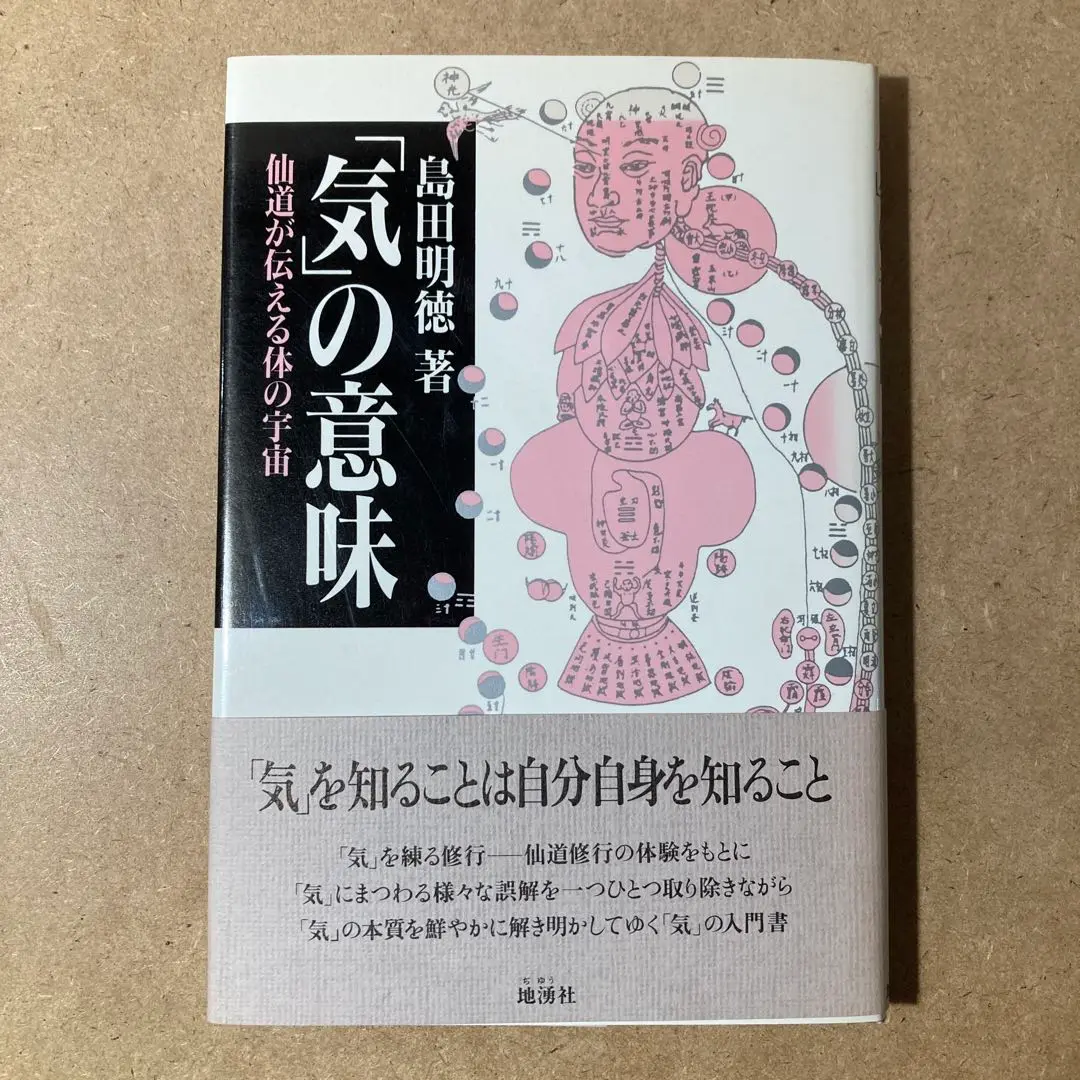 練気柔真法 入門講座　島田明徳 練気柔真法 入門講座 島田明徳 DVD